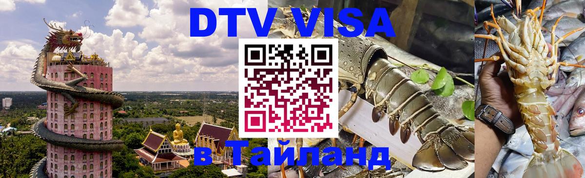 Оформление DTV визы под ключ: стоимость и тарифы, только загранпаспорт - 